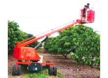 果園采摘車 閱讀次數：708